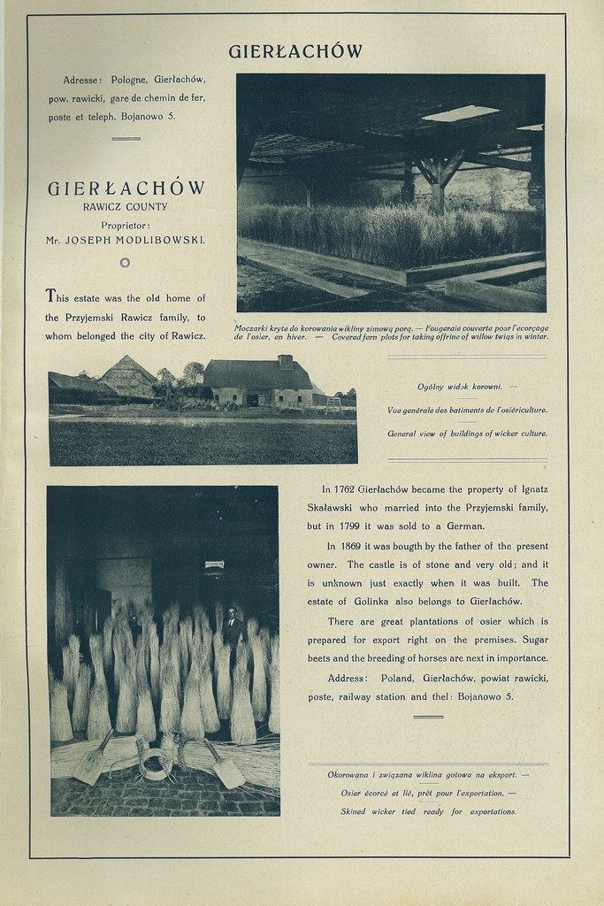 045 gierlachow.jpg
